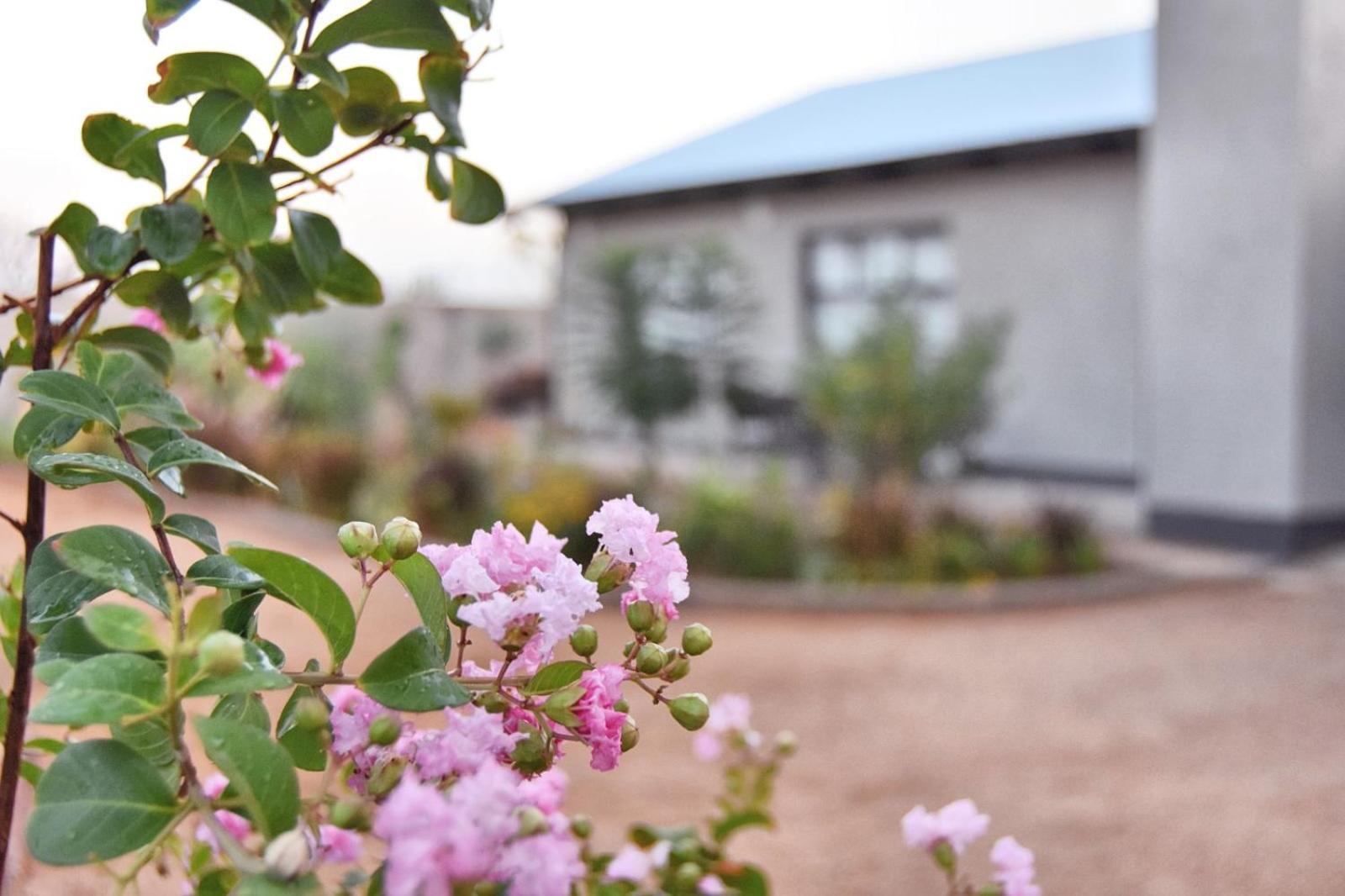 אומרורו Knowhere Selfcatering Unit 1 Na מראה חיצוני תמונה