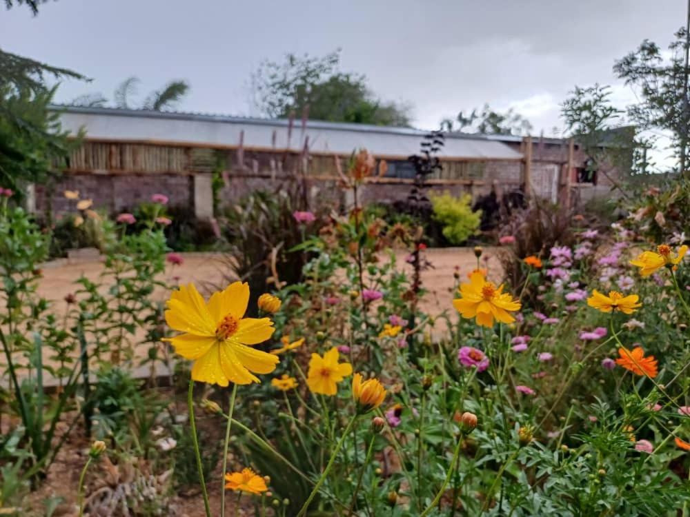 אומרורו Knowhere Selfcatering Unit 1 Na מראה חיצוני תמונה
